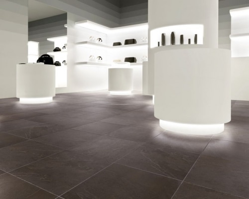 cc_amb_leiden_gris
