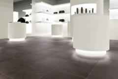 cc_amb_leiden_gris