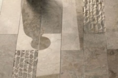 bb_cipro_oyster_still